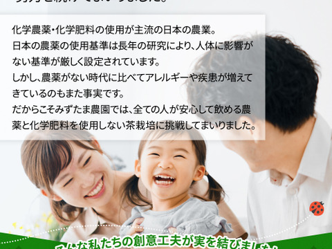【メール便・単品】農薬も化学肥料も使わないで育てたお茶 茶葉100g 静岡