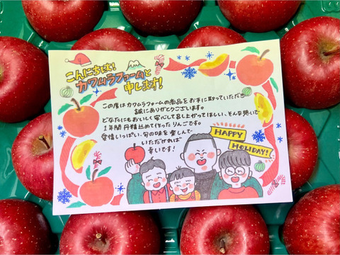 (予約開始)糖度13以上❗️青森県産サンふじ家庭用キズあり約10kg