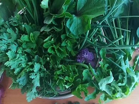 ｢食卓の名脇役！ハーブ/ちょっと変わった野菜がいろいろ試せるミニセット｣