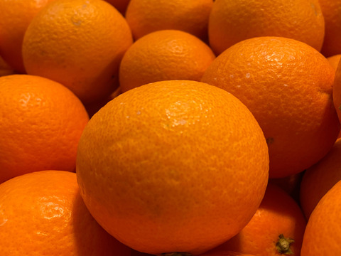 清見オレンジ１００％無添加ジュース720ml × 2本セット