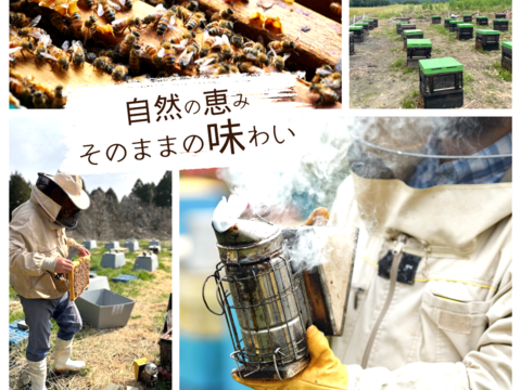 【母の日ギフト】国産はちみつギフトセット80g4本　ギフトボックス入り　母の日専用カード付