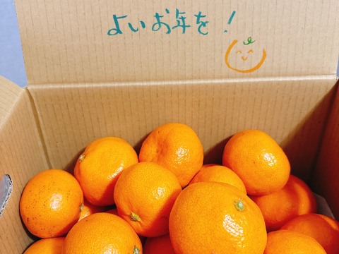 【おひとり様にオススメ】S~Mサイズ2kg とみ子ばぁばの有田みかん　＜有田産>【朝市限定】