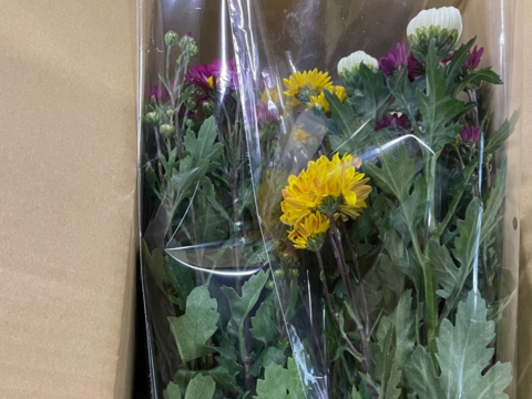 【年末年始限定】届いてそのまま飾れます！仏様用菊＋特殊マム3本お得セット！