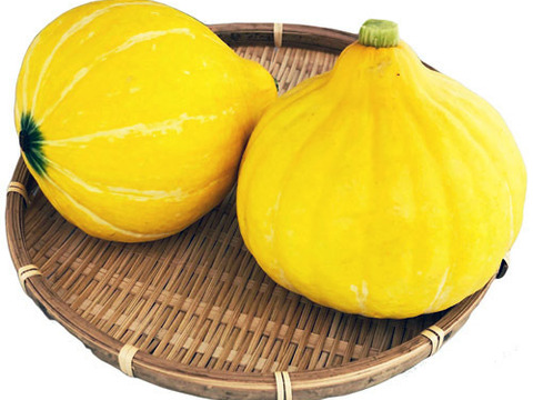【栽培期間農薬不使用】食感が楽しくサラダで美味しいサラダカボチャ コリンキー2㎏