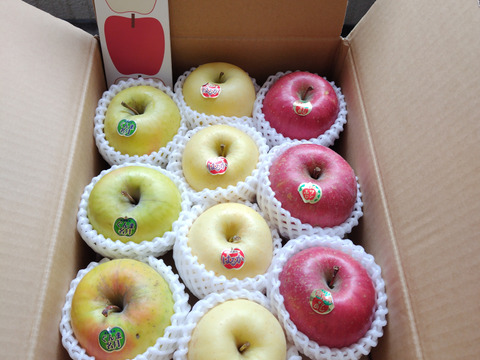 【晩生種】🍏🍎人気の三種🍏サンふじ・はるか・ぐんま名月🍎葉とらず入り品種ミックス🍎３キロ