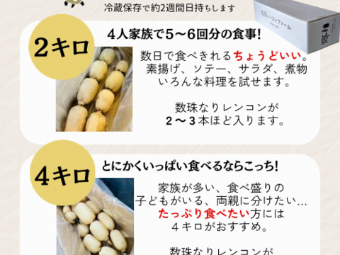 野菜ソムリエがおすすめする野菜のおいしいお店 5102-mio.jpg