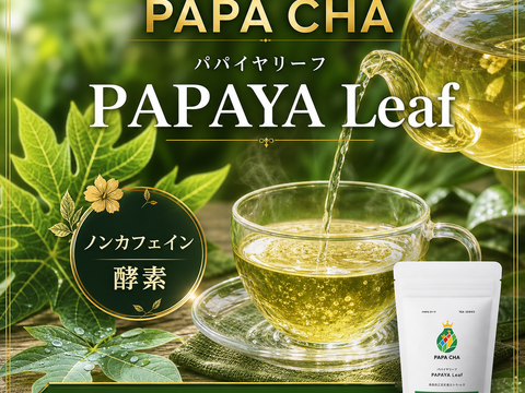 パパイア王子 青パパイヤ葉茶 国産 ノンカフェイン 宮崎県産 農薬不使用 酵素 ポリフェノール 美容茶 健康茶 スーパーフード ティーバッグ 7個入り