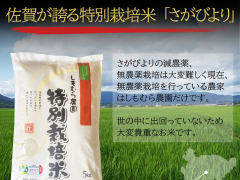 新米販売開始！【一番人気！】もっちりつやつや特別栽培米さがびより玄米10kg【農薬５割以上削減・化学肥料不使用】R5年佐賀県産