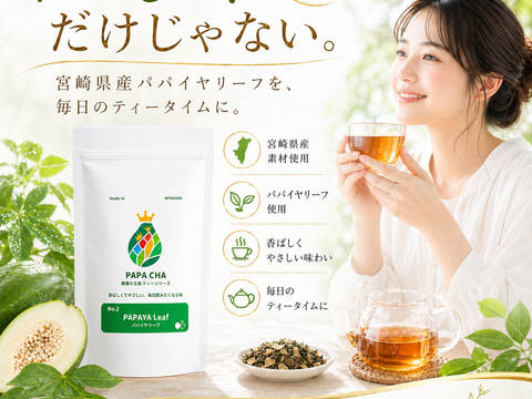 パパイア王子 青パパイヤ葉茶 国産 ノンカフェイン 宮崎県産 農薬不使用 酵素 ポリフェノール 美容茶 健康茶 スーパーフード ティーバッグ 7個入り
