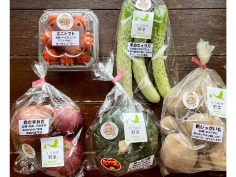 数量限定価格!! 濃甘！野菜セット3種類 農薬・化学肥料不使用♪個包装：埼玉県産 野菜