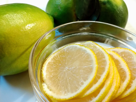 いろんなレモンのおまかせセット化学農薬不使用・希少レモン入り【柑橘食べ比べ】