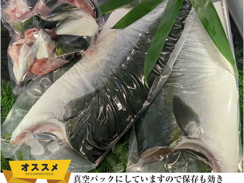 【青空レストランで紹介！】フルーツ魚 平戸なつ香ブリ約5kg（真空パック・あら付き）【冬ギフト】 のし対応可能