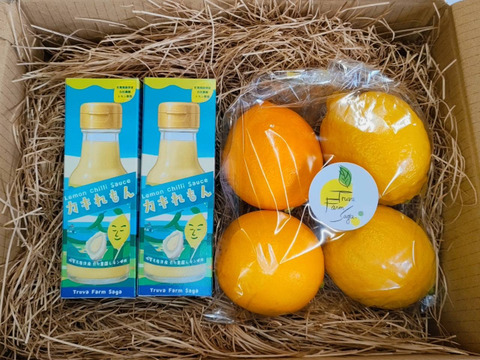 レモンチリソース『カキれもん』ギフト箱入り２本＋レモン４個セット