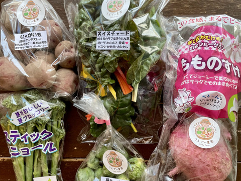 【母の日】濃甘！野菜セット3種類×2倍量 農薬・化学肥料不使用♪個包装【母の日ギフト】