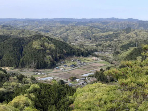 【米冠位】　立神米コシヒカリ　コンテスト受賞米