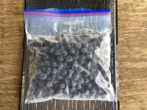 【農薬不使用】大粒品種！ブルーベリー　冷凍 1kg
