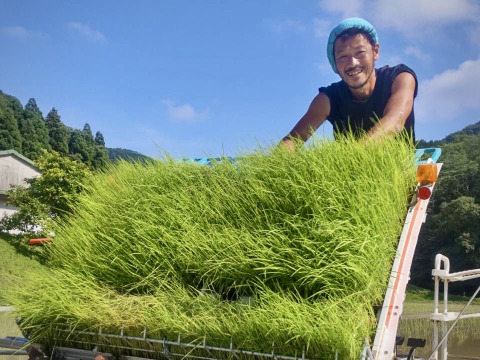 淡路島産コシヒカリ！『アイガモ農法米』農薬、化学肥料不使用！白米10kg