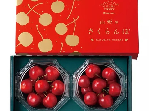紅王 500g 高級贈答品　L-2L すごく甘い　數量限定 さくらんぼの王様 : 紅 王 】山形県産 新品種 2L〜3L玉 300g