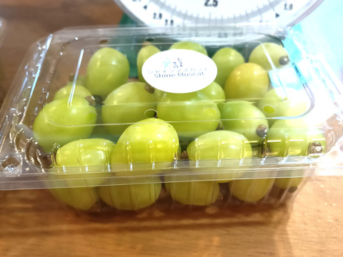 瀬戸ジャイアンツ粒1kg、シャインマスカット粒2kgセット
