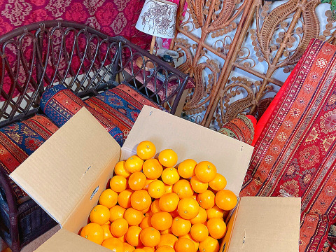 【甘み＆食べやすさ】の二刀流！西果樹園みかんの代表格！西幸みかん【早生みかん５キロ】