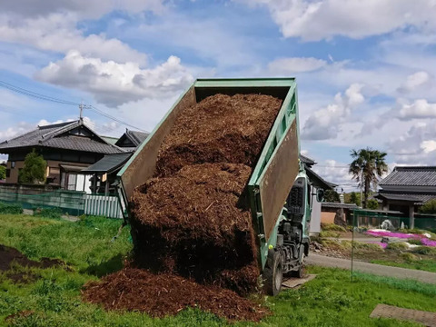 化学肥料・農薬不使用！　生果ブルーベリー１ｋｇ