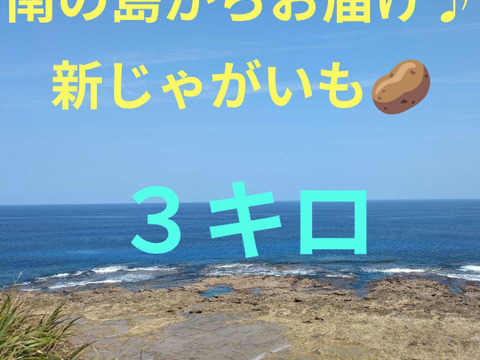沖永良部島産じゃがいも　3キロ