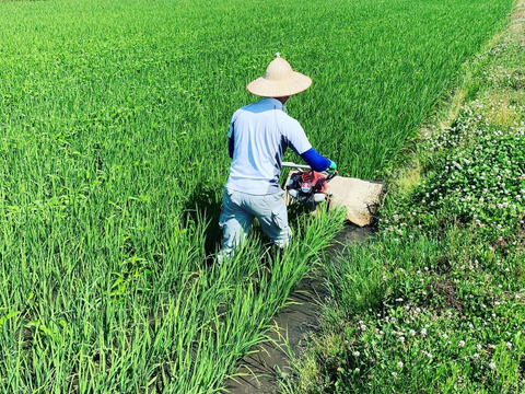 【Ꭱ5年産】[玄米]北海道米 ゆめぴりか 特別栽培 4kg ネオニコフリー