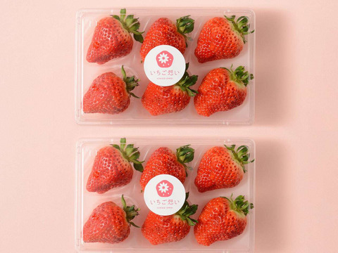【2箱セット】もっと想いが伝わるいちご-越後姫4Lサイズ6個入り