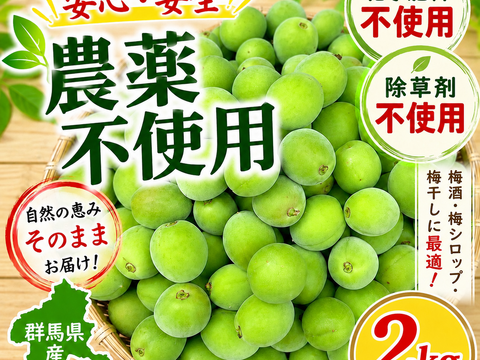 【予約販売】農薬不使用 青梅 2Kg 自家農園 梅酒 梅シロップ 農家直送 収穫後発送