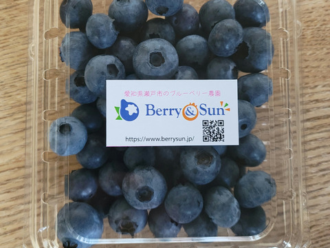 ”ベリーさん”の完熟ブルーベリー品種ミックス 1㎏（125g×8パック）【生食用】・予約販売中