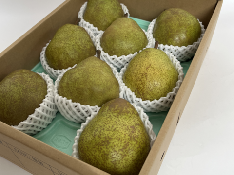 洋梨「ラ・フランス」3kg 4L