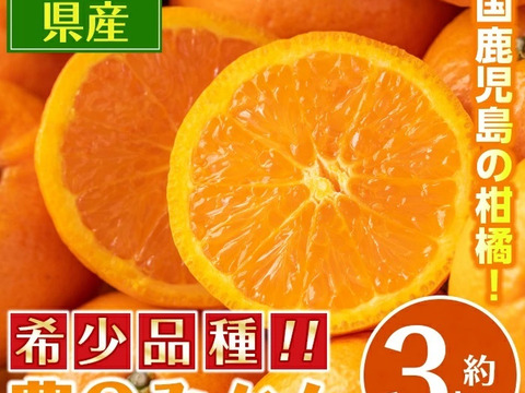 濃厚な甘みとコク 農6号みかん 約3kg（希少柑橘）サイズ：おまかせ（2S以上）