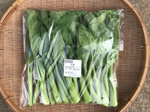 芥蘭(カイラン） 1kg／コリコリ食感、日本ではなかなか手に入らない中国の定番野菜！