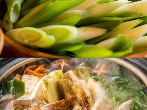 訳あり 長ねぎ 5kg 約35本 新潟県産 無選別【農家直送】農薬化学肥料不使用 家庭用 業務用 白ネギ