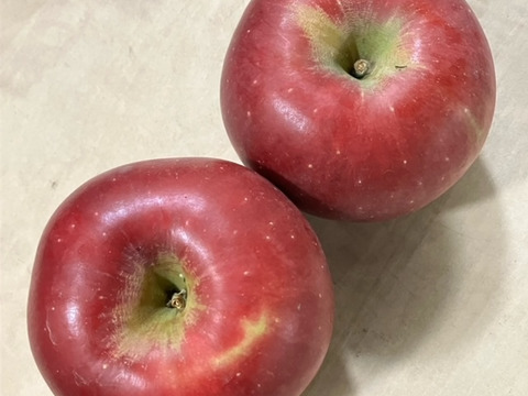 りんご アニーエリザベス (A品2㎏)