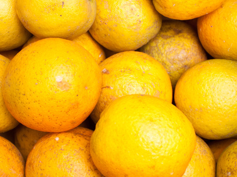 バレンシアオレンジ2.5kg［わけあり・和歌山県産〕※北海道沖縄配送不可