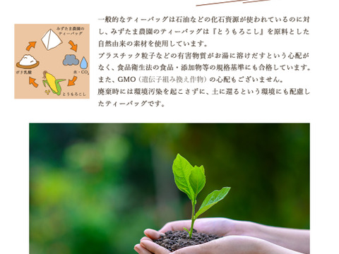 【合わせ買い・単品】ゴクゴクすっきり ほうじ茶ティーバッグ 1.5g×100p