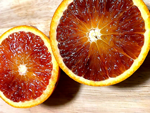 真紅の柑橘【濃い甘さ濃厚タロッコ種】ブラッドオレンジ家庭用