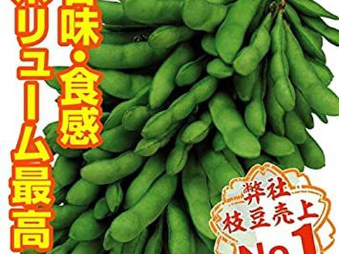 旬の時期に枝豆を急速冷凍しました カット済み冷凍枝豆大容量500g 畑直送 福岡県糸島産 福岡県産の豆類 食べチョク 産地直送 産直 お取り寄せ通販 農家 漁師から旬の食材を直送
