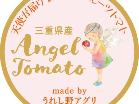 【糖度10以上】天使が届ける至高のフルーツトマト！Angel Tomato(1キロ)