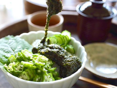 ネバネバ好き集まれ 九州産あかもく２０個 福岡県産 食べチョク 農家 漁師の産直ネット通販 旬の食材を生産者直送