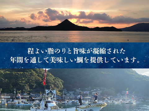 NEW★香ばしさがたまらない！真鯛の炙り刺身【Firesh®︎】※解凍するだけ‼組み合わせ自由！【単品商品】
