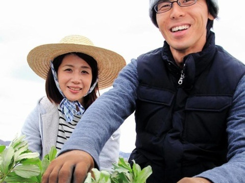 【自然栽培】甘い新たまねぎ 4kg★農薬・肥料不使用｜玉葱｜タマネギ