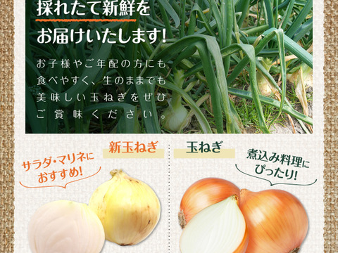 淡路島 新玉ねぎ 甘い 玉葱 3キロ