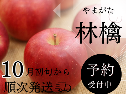【 🍎早期予約🍎 】【 50箱限定 】【 3000件突破 】【 先行予約･希少品種・清明 】【 水分たっぷりジューシー果汁 】山形県産 りんご 3ｋ【 家庭用・贈答用 】お米とご一緒に！