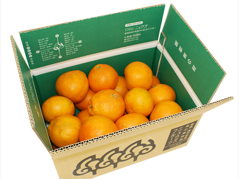 産地直送・わけありいよかん(10㎏ )　ご自宅用　愛媛県産