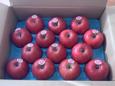 キュンとくる酸味りんご❗　ピンクレディー®（12個から16個）箱含め3キロ