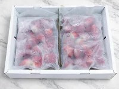 冷凍いちご「東京おひさまベリー」1キロ 【国産】 イチゴ 苺 スイーツ 果物 スムージー シャーベット パフェ アイス ジャム マフィン サラダ プリン クレープ／バレンタインデー、受験、合格祝