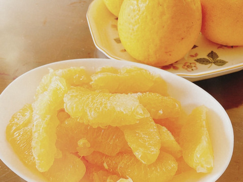 🍊今が旬！！🍊【御家庭用】　7.0㎏　天晴晩柑！（河内晩柑）