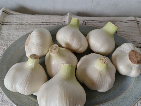 【有機JAS認証・期間限定】生にんにく 南アルプスの有機野菜 1kg